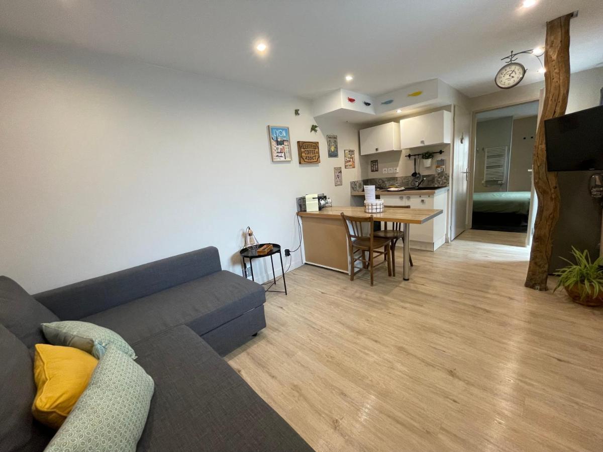 Appartement Cosy Au Coeur Du Beaujolais Saint-Lager Экстерьер фото